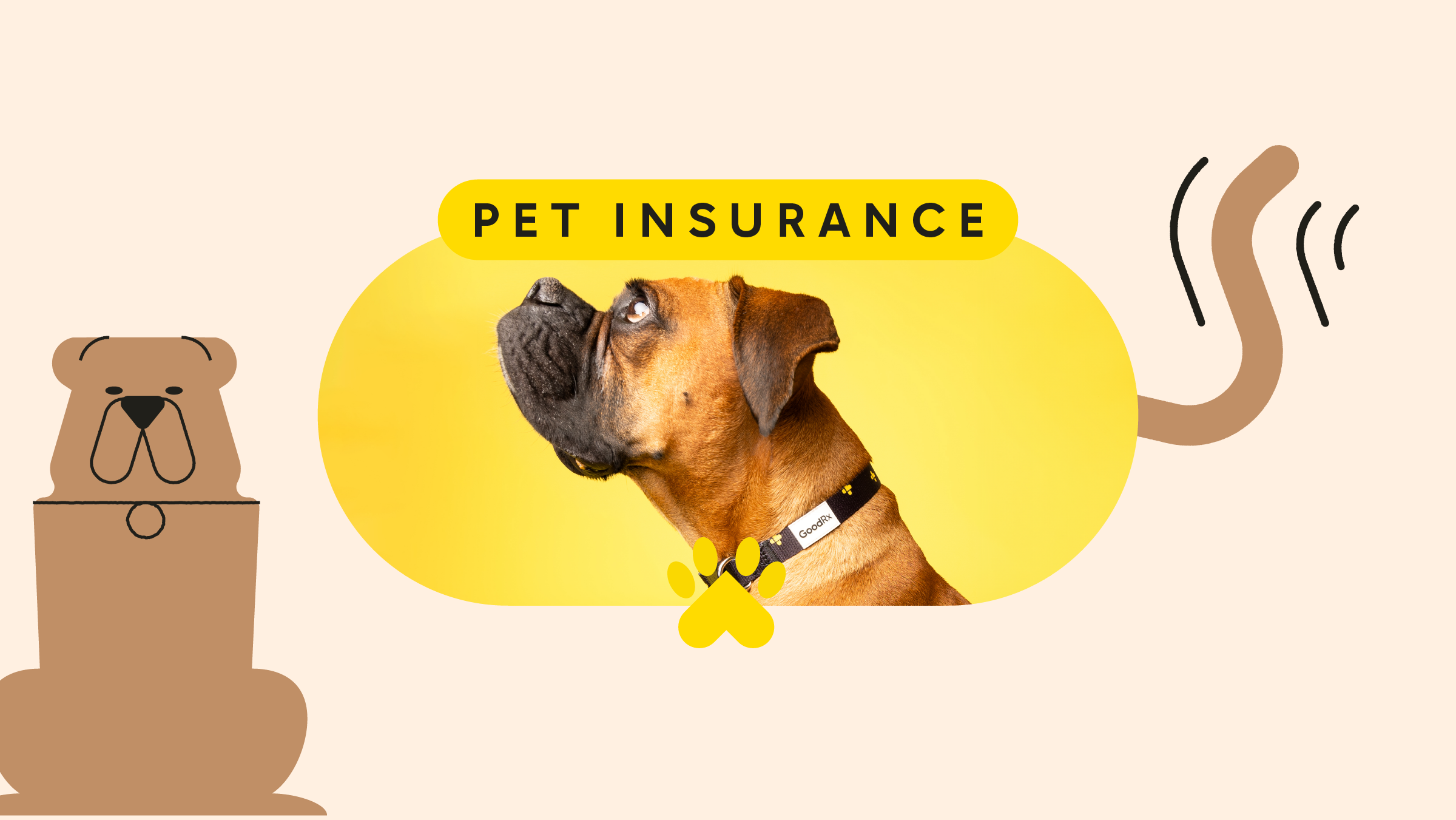 Pet Insurance for Dogs