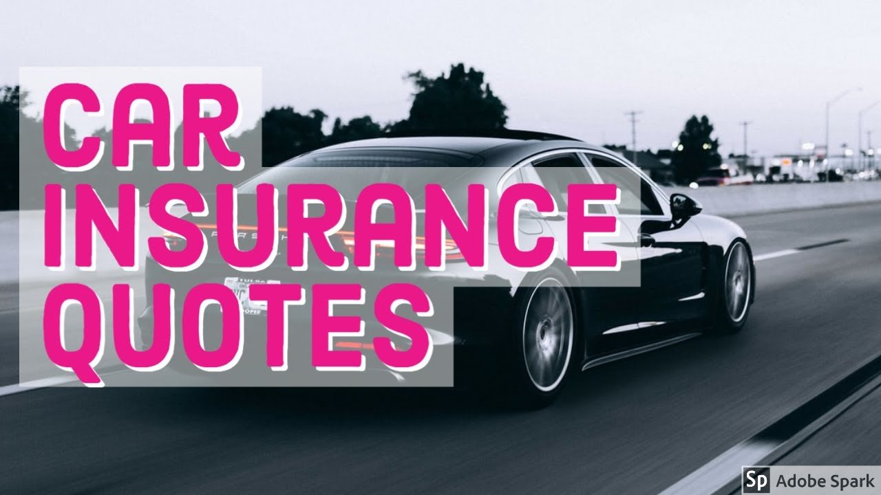 car insurance quotes